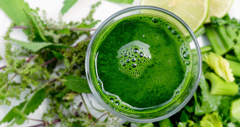 Memahami dan Manfaat Probiotik : Mendukung Kesehatan Usus dan Keseimbangan Mikrobiota